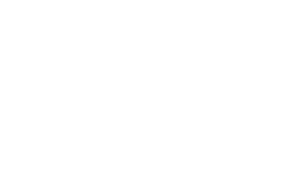 von Borstel networks Logo